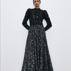 Brand New With Tags Zara limited edition Pearl & Sequin Maxi Skirt. Size Large